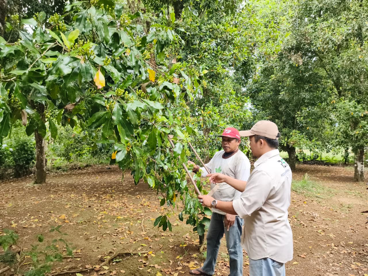 ReFarms Monitoring